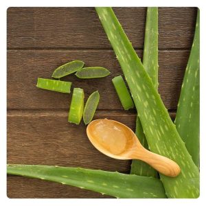 Linea Herbal Aloe